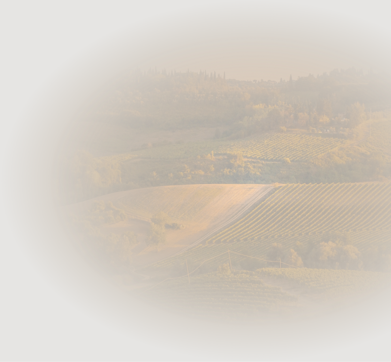 Reservations - Casa di Campagna