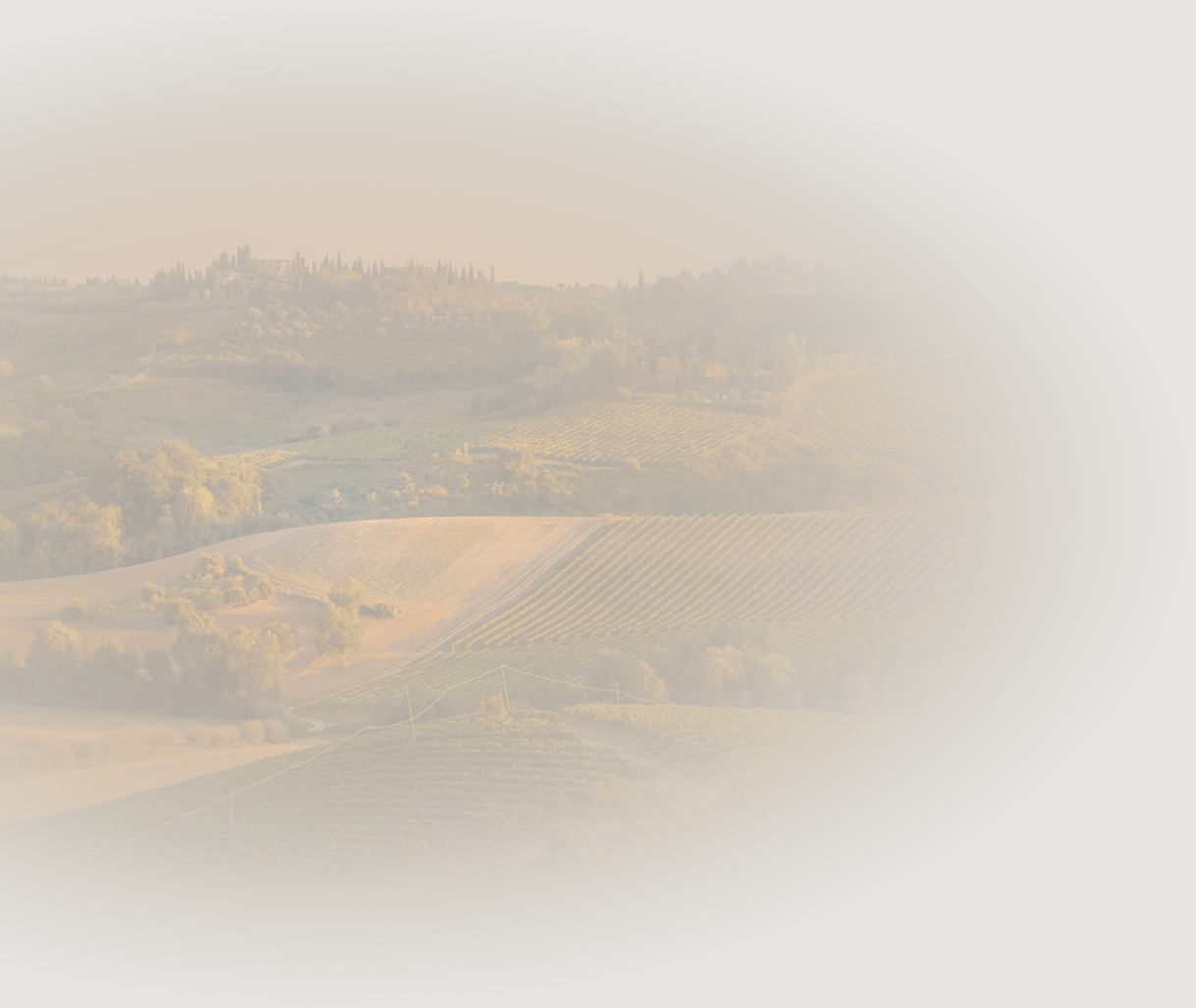  - Casa di Campagna