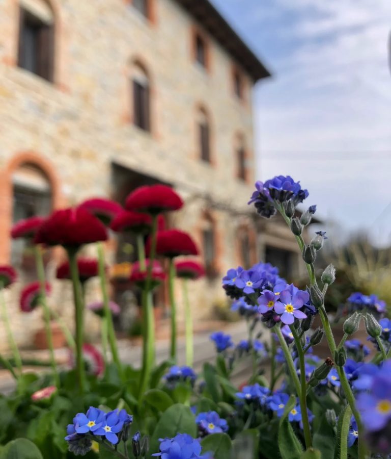 Casa di Campagna B&B Combai accoglienza - Casa di Campagna
