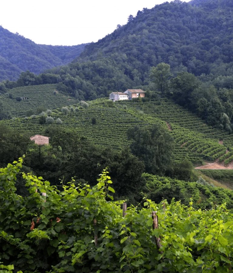 Casa di Campagna B&B Combai il paesaggio - Casa di Campagna