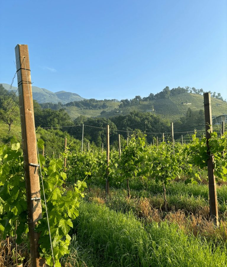  - Casa di Campagna